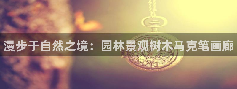 卧龙娱乐找382223