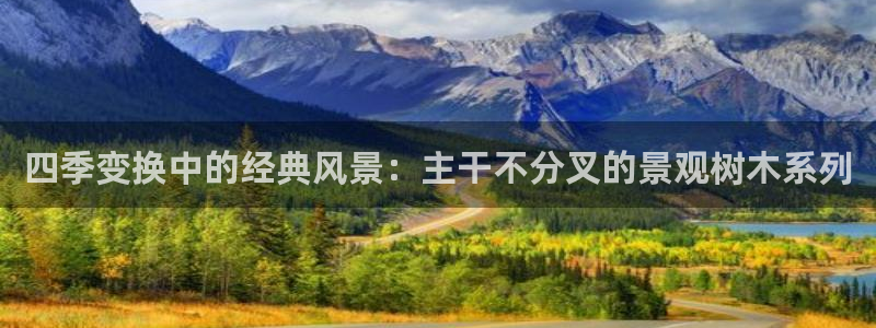 卧龙ktv娱乐会所电话：四季变换中的经典风景：主干不分叉的景观树木系列