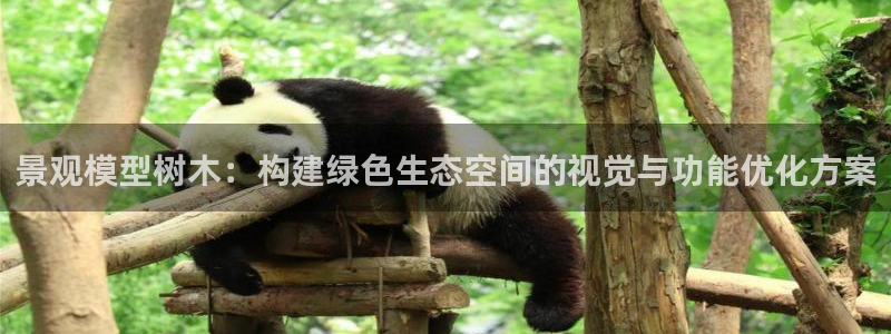 pt娱乐 卧龙招商60447