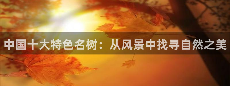 卧龙牧原娱乐设施