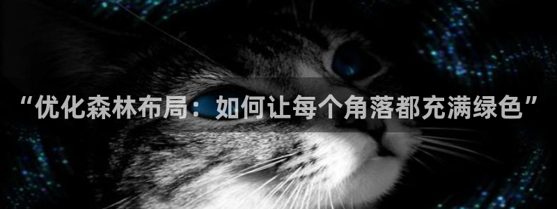 SKY娱乐卧龙招商60447