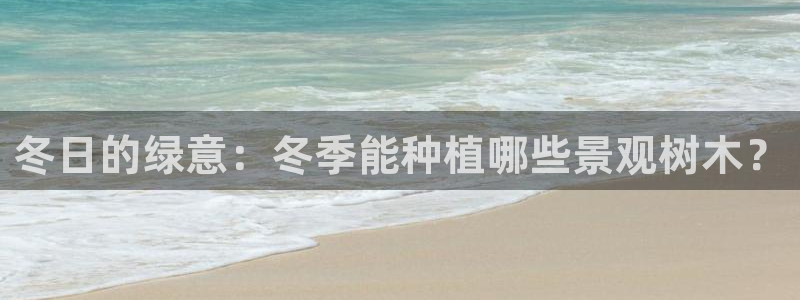 绥阳卧龙湖娱乐