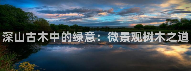 卧龙娱乐招商主管工资