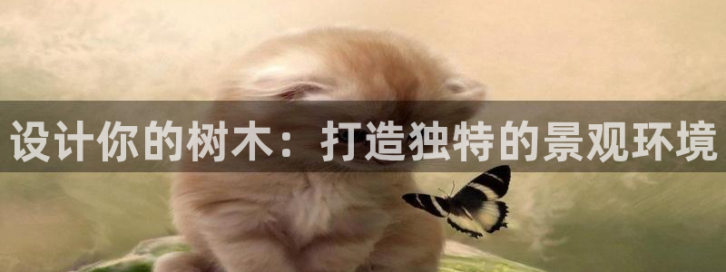 卧龙娱乐是什么