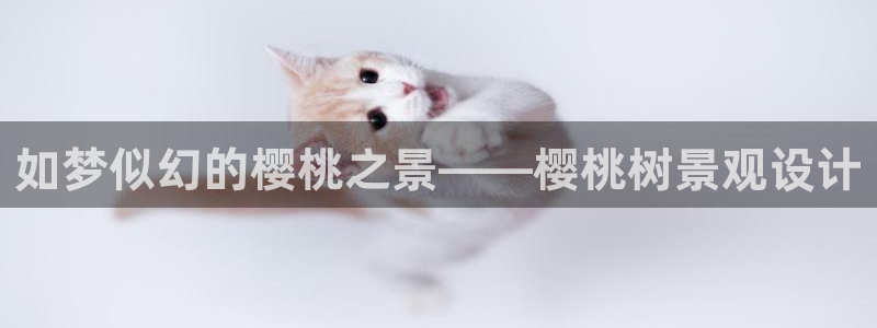 BA娱乐卧龙招商60447