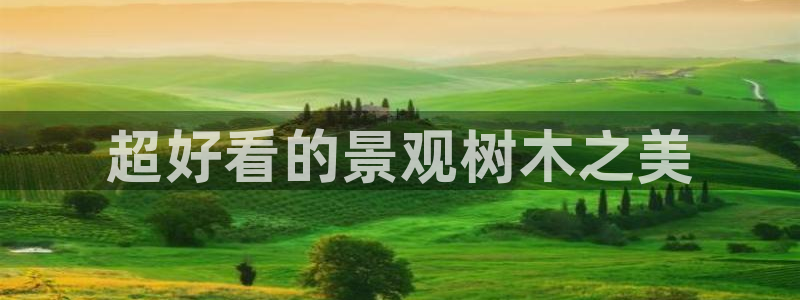 太和卧龙娱乐会所招聘