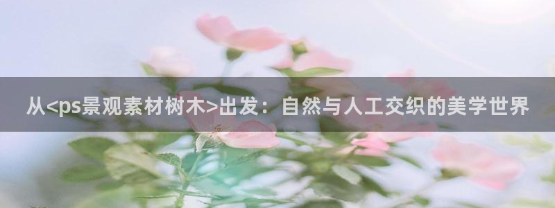 SKY娱乐 卧龙主管60447