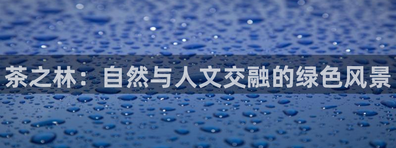 sky娱乐 扣卧龙60447