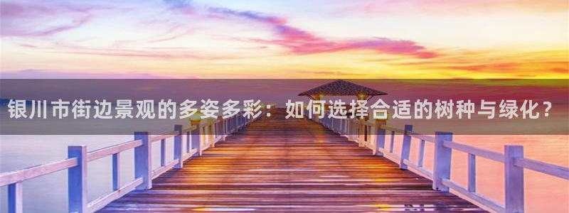 hr娱乐 卧龙招商60447