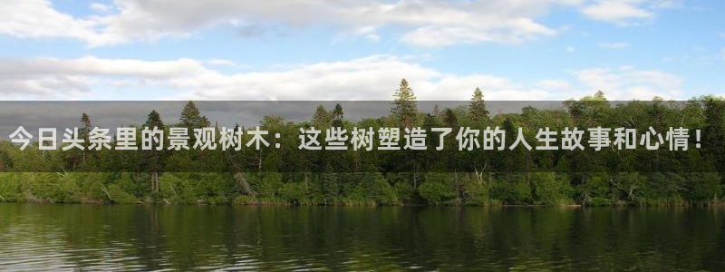 卧龙娱乐在线直播网页