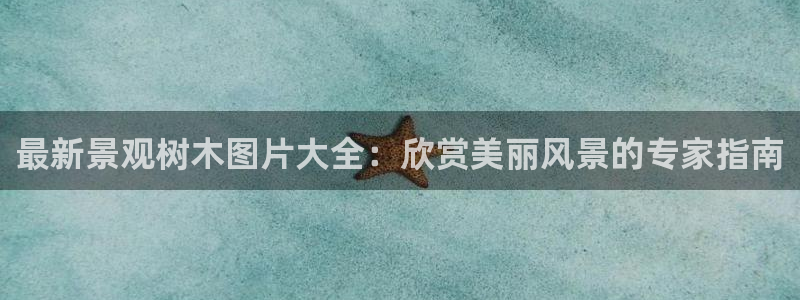 卧龙娱乐是哪个系列