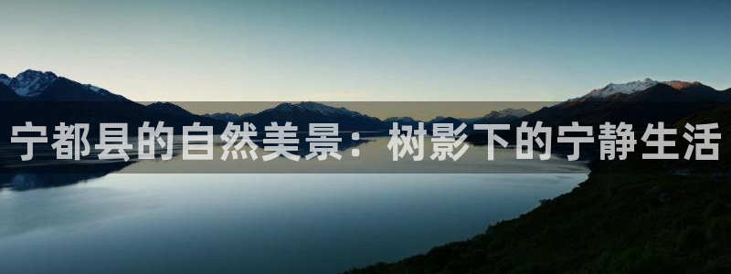 卧龙娱乐在线直播观看