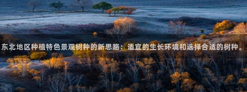 卧龙娱乐桐333OO