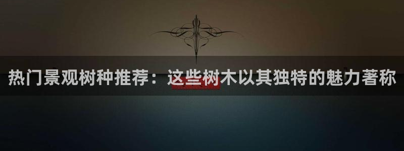 卧龙公园的娱乐项目