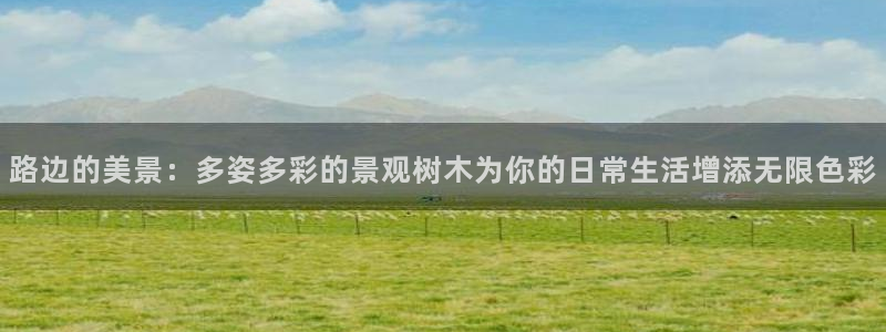 卧龙娱乐老板叫什么名子：路边的美景：多姿多彩的景观树木为你的日常生活增添无限色彩