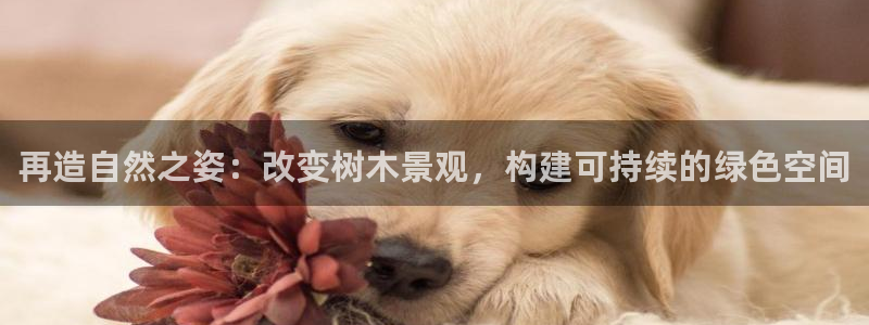 HR娱乐卧龙招商60447