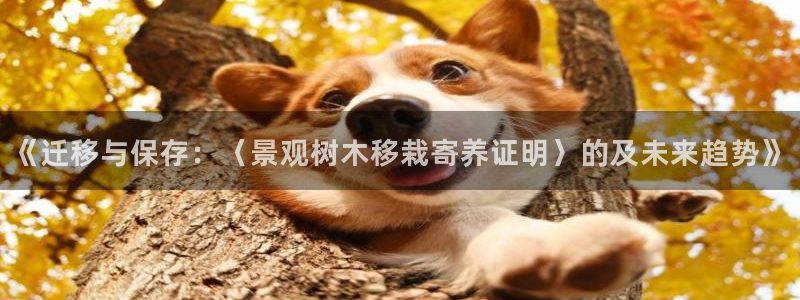 卧龙娱乐382223主管