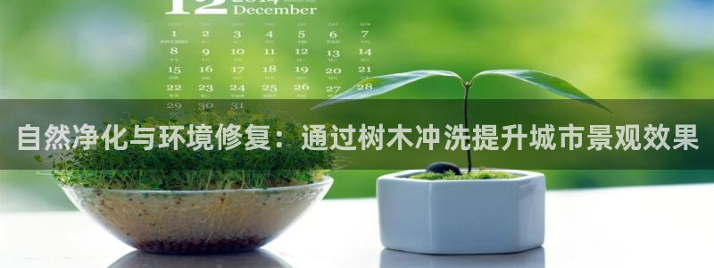 pt娱乐 卧龙主管60447