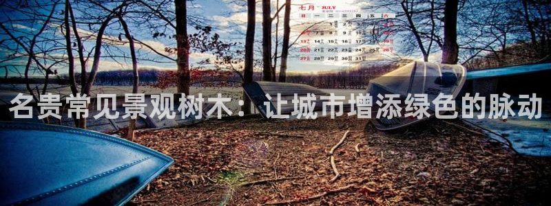 卧龙凤锄娱乐