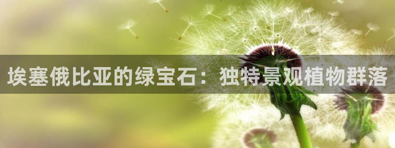 卧龙沙滩娱乐