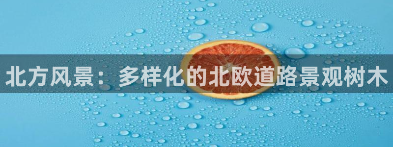 南阳卧龙娱乐城
