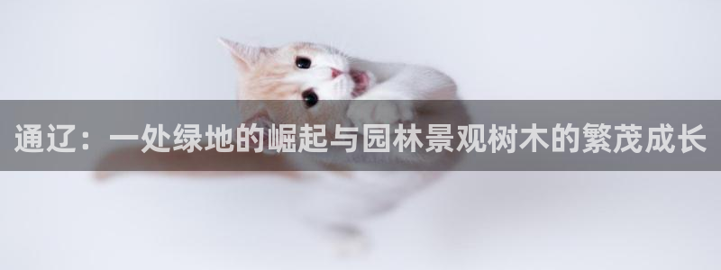 辣椒娱乐卧龙凤雏