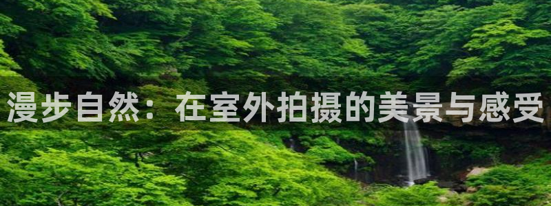 卧龙娱乐在线下载