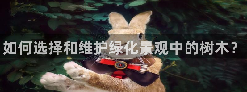 HR娱乐卧龙招商60447