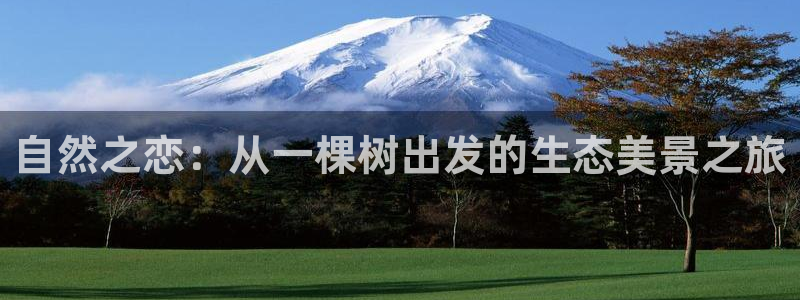 卧龙环岛儿童娱乐:自然之恋:从一棵树出发的生态美景之旅