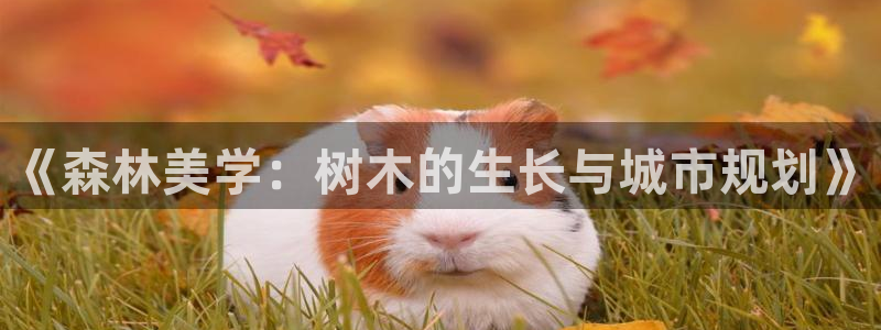 卧龙凤雏娱乐资讯