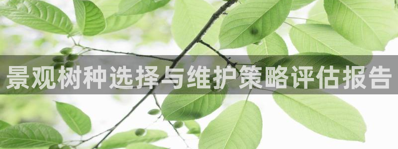 卧龙娱乐在线直播网站