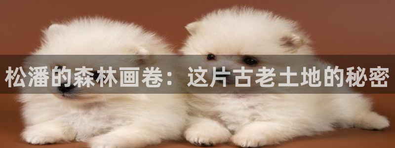 卧龙娱乐彩票怎么玩