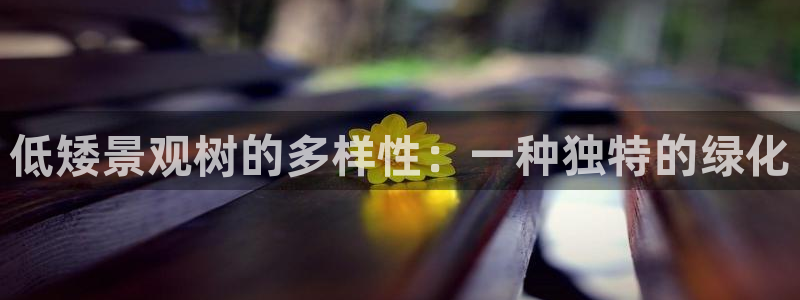 卧龙娱乐靠谱吗
