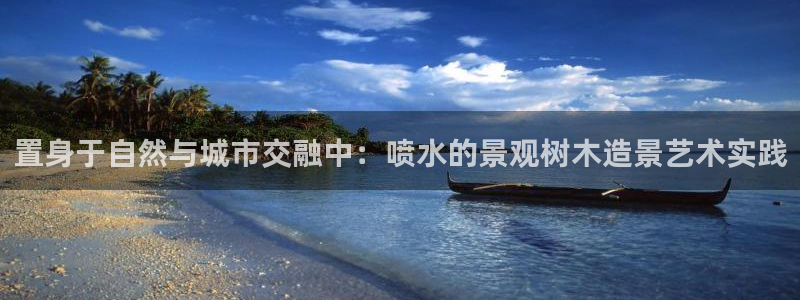 卧龙沙滩蹦床娱乐