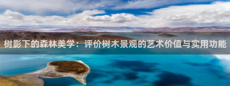 卧龙娱乐app彩票