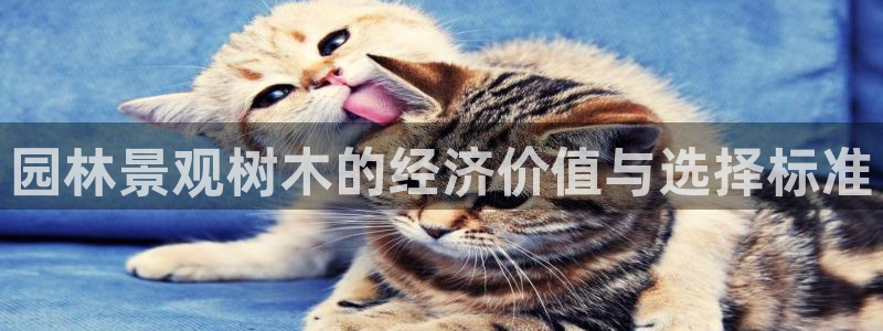 卧龙娱乐qv396667