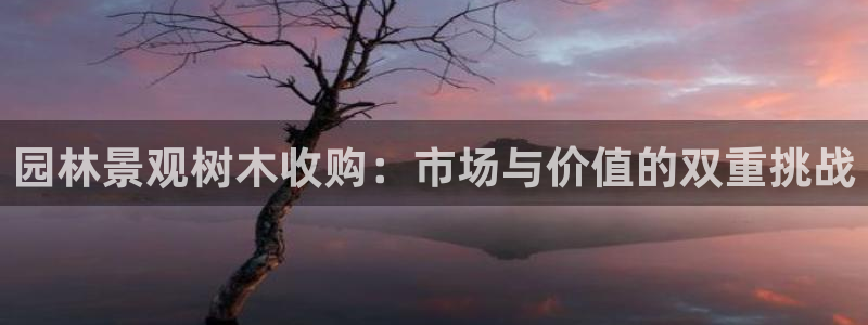 HR娱乐卧龙招商60447