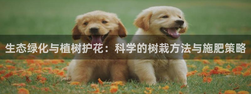 卧龙娱乐3822233