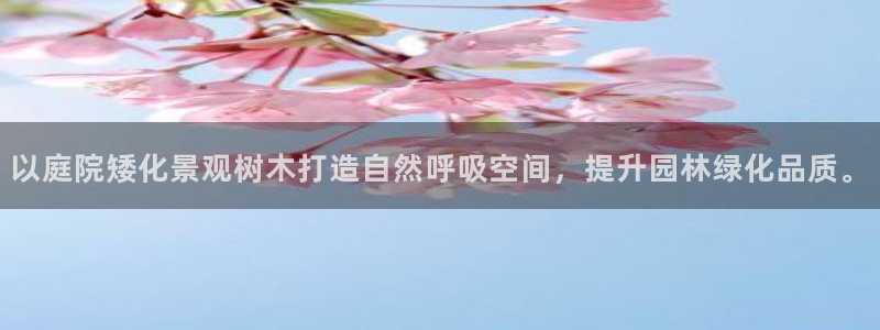 卧龙凤雏娱乐版