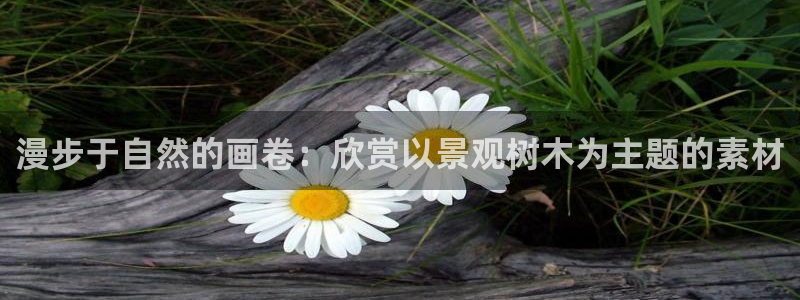 卧龙娱乐平台可靠吗