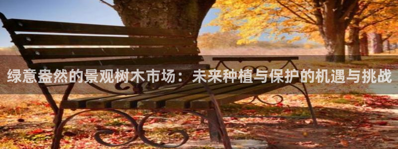 卧龙娱乐在线直播观看