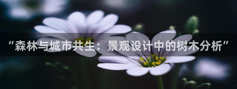 卧龙大型娱乐
