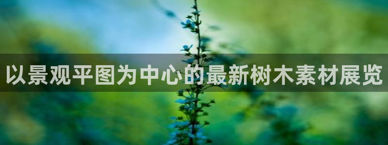 卧龙娱乐下7O667