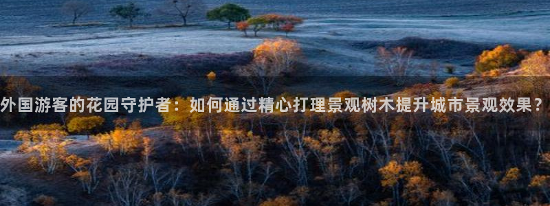 卧龙娱乐若七九九