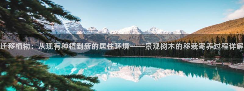 厦门卧龙台球娱乐会所
