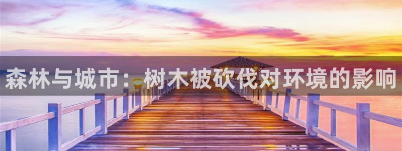 卧龙凤锄娱乐