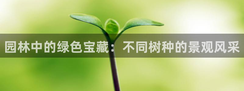 卧龙休闲娱乐推荐