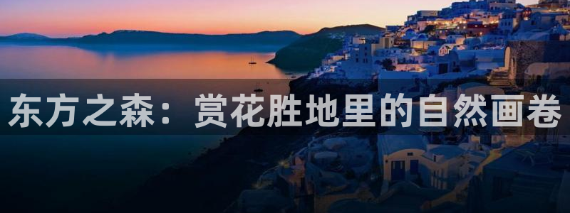 卧龙娱乐怎么样