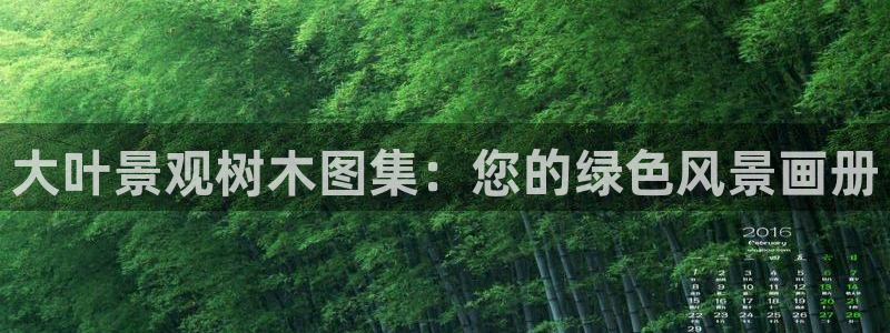 卧龙娱乐是不是骗子
