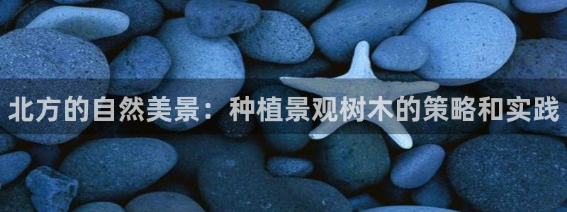 卧龙娱乐彩票官网